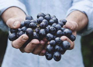 Resveratrol kopen? Ga online!