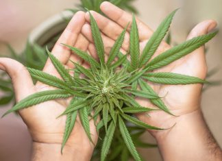 CBD olie kan veel van je klachten verminderen