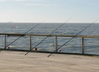 Heb jij al een reel hengel?